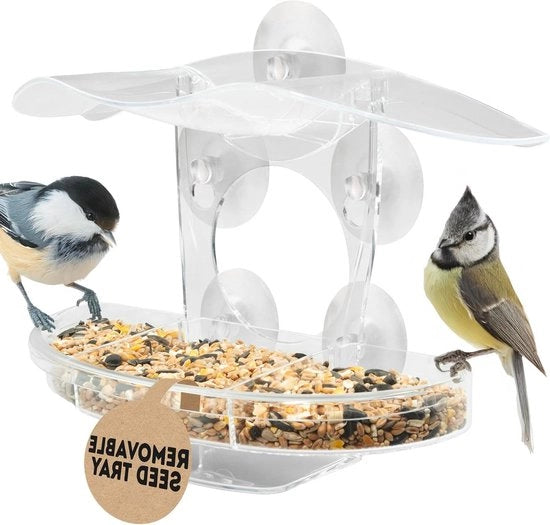 Vista acrilica per uccelli con 4 fori di aspirazione forti e contenitore semina rimovibile - alimentatore per osservazione di uccelli piccoli - osservatorio per uccelli regalo per tutte le occasioni