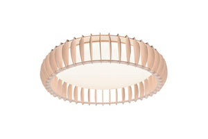 Plafoniera da Interno a LED in Plastica Bianco