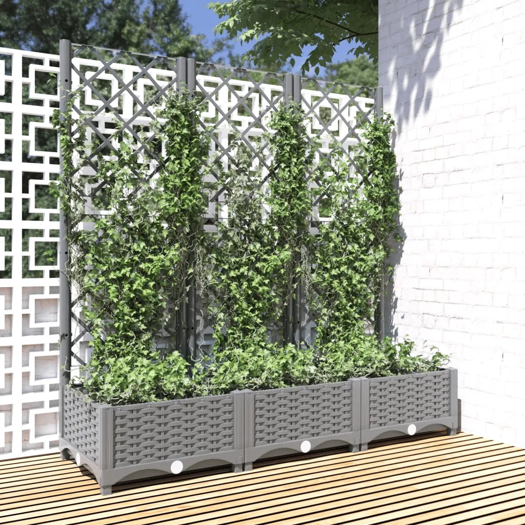 Fioriera | Cassetta per fiori | Vaso Giardino e Graticcio Grigio Chiaro 120x40x121,5cm PP