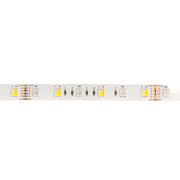 Striscia LED 5m RGB+CCT 14,4W/m 12V IP20 dimmerabile Ecolight