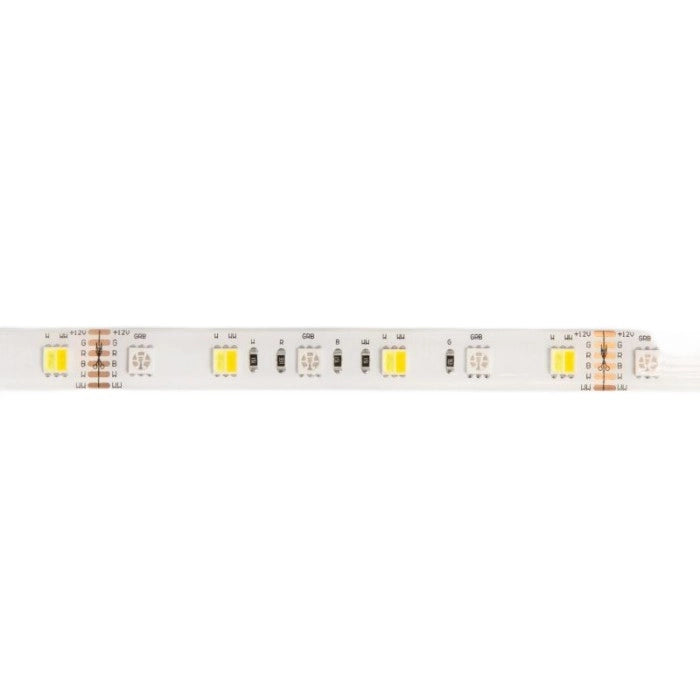 Striscia LED 5m RGB+CCT 14,4W/m 12V IP20 dimmerabile Ecolight