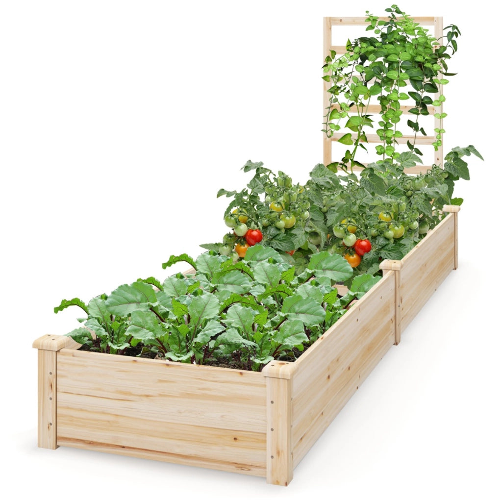 Aiuola da giardino rialzata con fioriera e traliccio-Fioriera da Giardino Kit di fioriere in legno per fiori 235x63x102cm Naturale