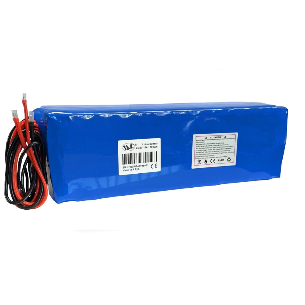 EBIKE - BICI ELETTRICA RICAMBIO INTERNO PER BATTERIE IS48V15