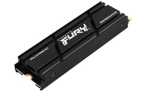 Kingston Technology 1000G RENEGADE PCIe 4.0 NVMe SSD W/ Dissipatore di calore