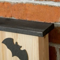 Set di 3 Casette per Pipistrelli in Legno di Abete per Esterni, 25x6x37.5 cm, Legno Naturale