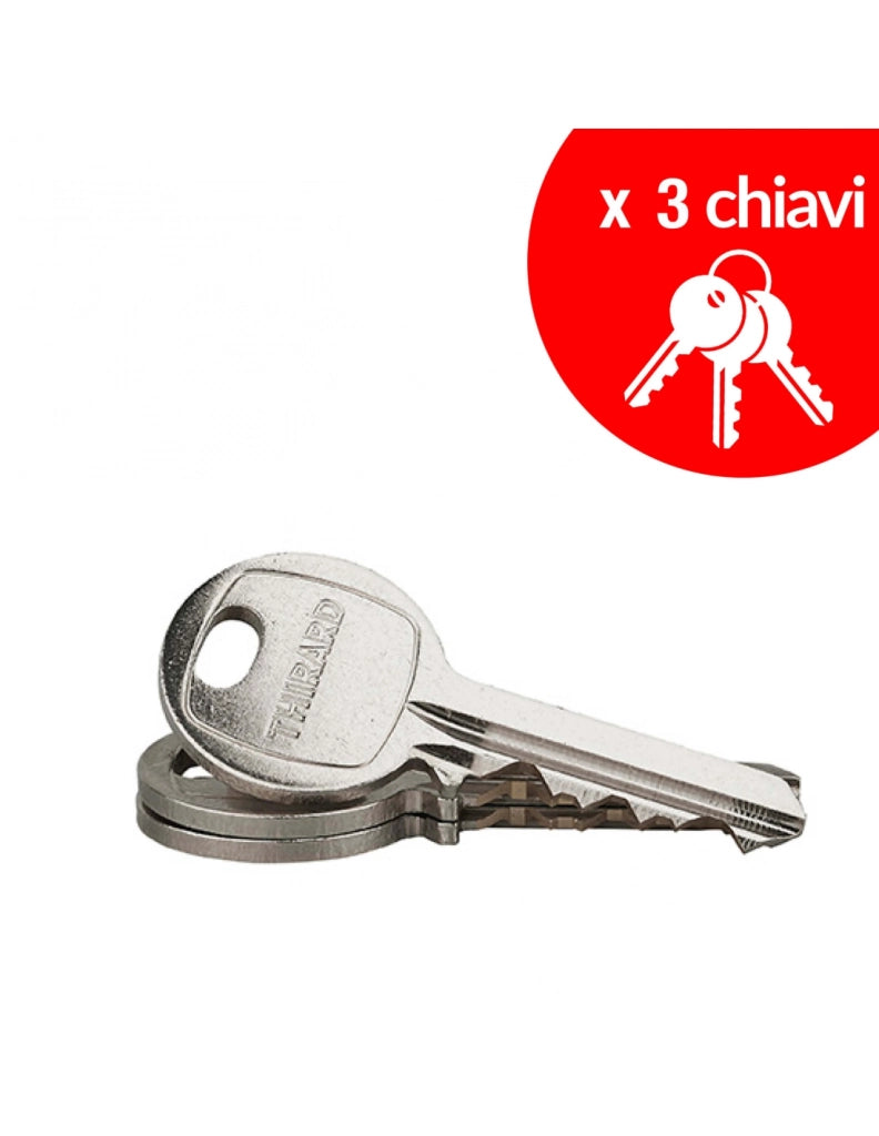 Cilindro europeo con pomolo 30 x 40 mm, dorato, 3 chiavi – THIRARD