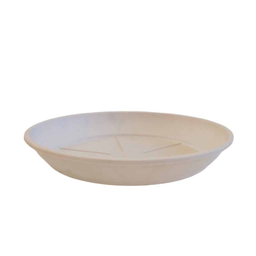 SOTTOVASO COLOR D.18XH3CM ASSORTITO