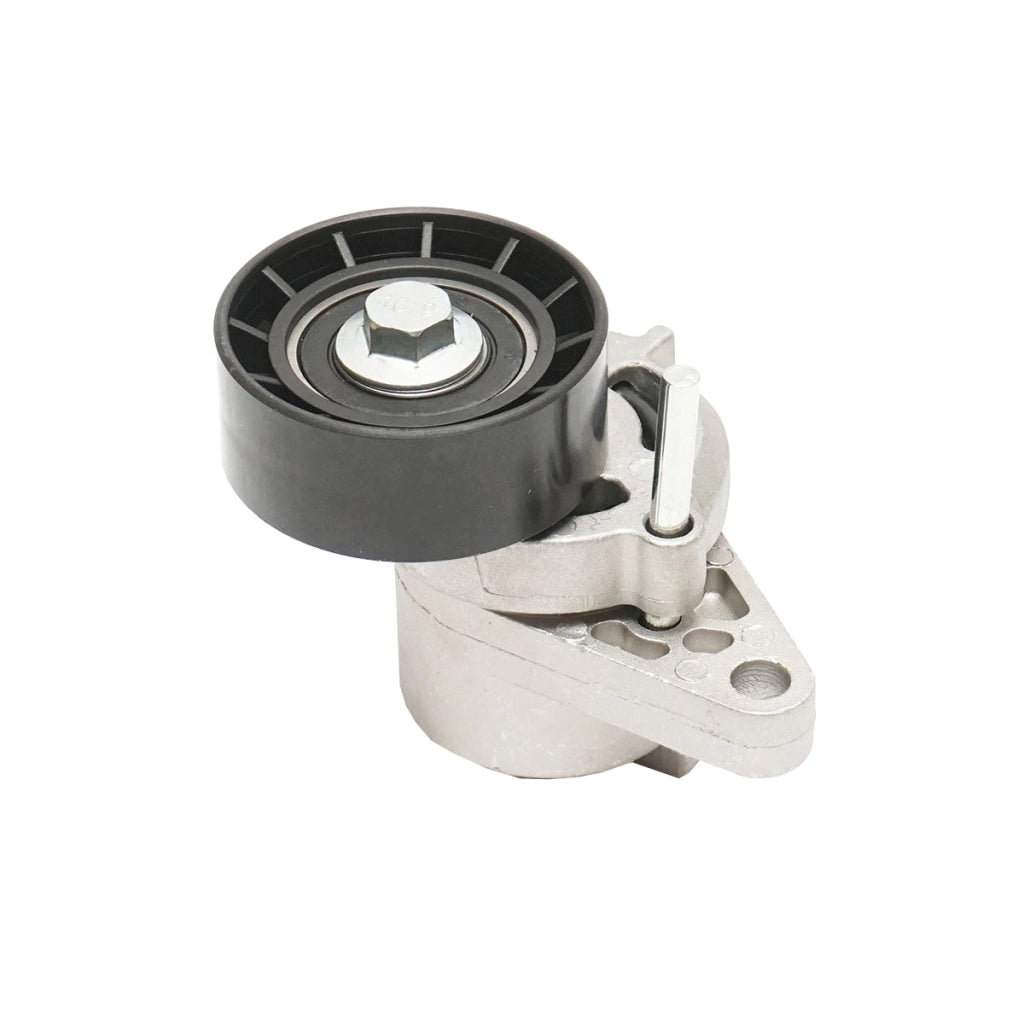 Puleggia tenditrice con molla per cinghia di trasmissione Dacia Logan benzina 8200603359