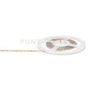 GST180C- STRISCIA LED 5MT 3000K 7045LM 11W/m IP20