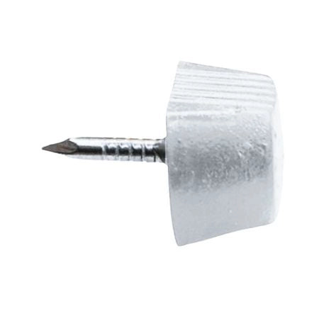 REGGIPIANO OVALE Bianco - 200 pezzi