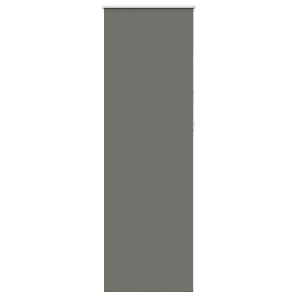 Tenda a Rullo Oscurante-Tenda da sole a rullo 70x230 cm Larghezza Tessuto 65,7 cm 302945