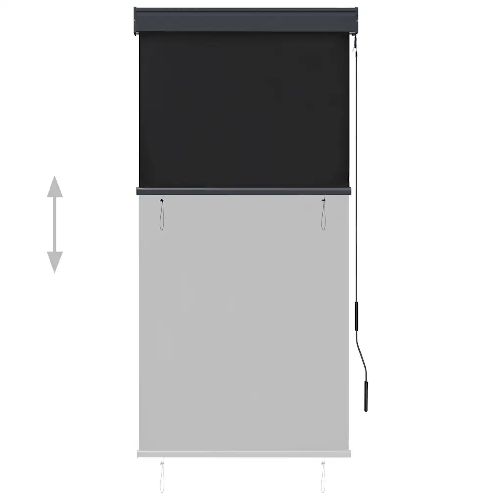 Tenda a Rullo per Esterni 80x250 cm Antracite cod mxl 68274