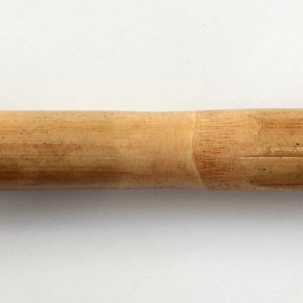 Canne di bamboo per tutori piante Ø 20/22 mm altezza 150 cm Confezione da 50 pezzi T-Rex