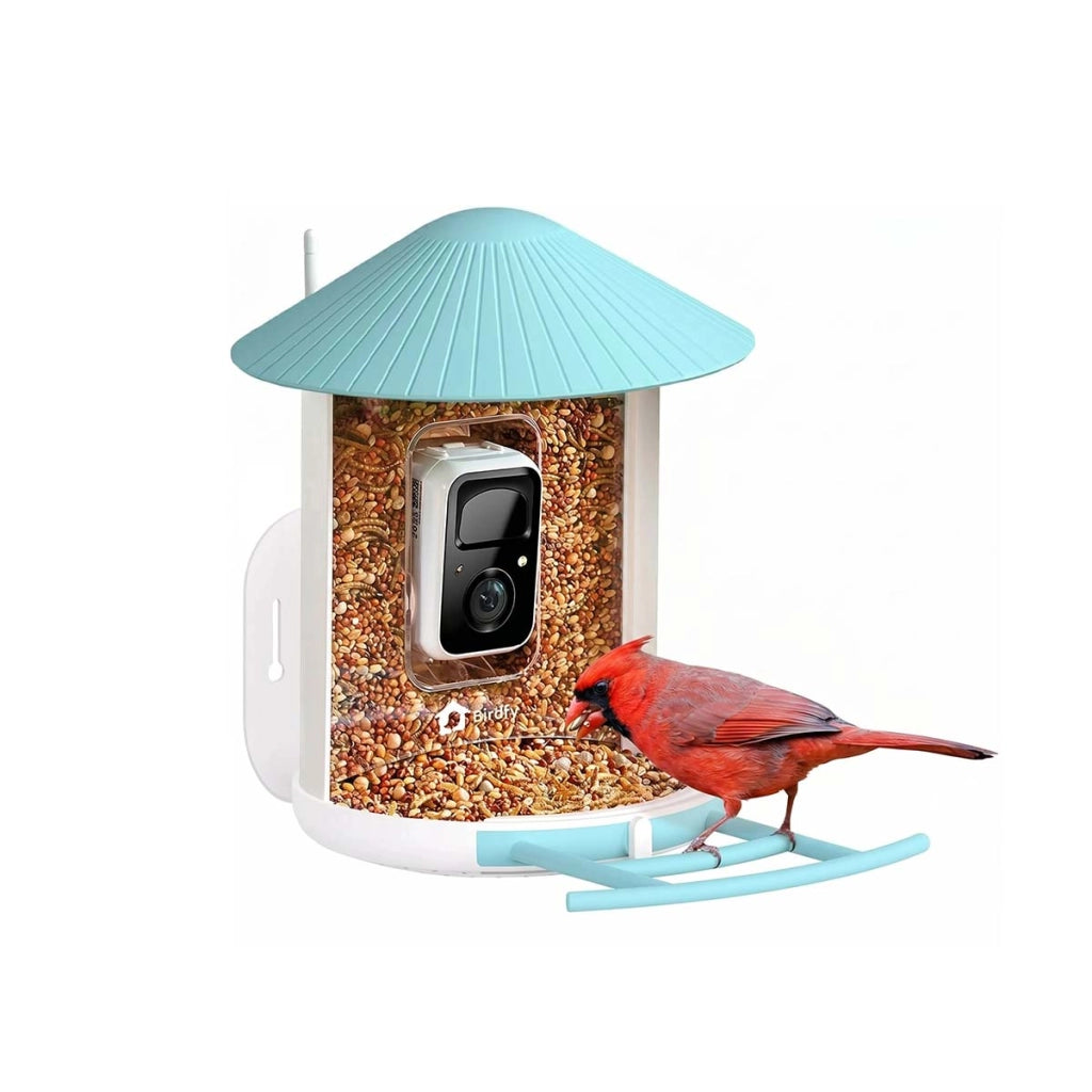 Mangiatoia per Uccelli con Telecamera AI e Pannello Solare IP65 Bianco / Blu Birdfy