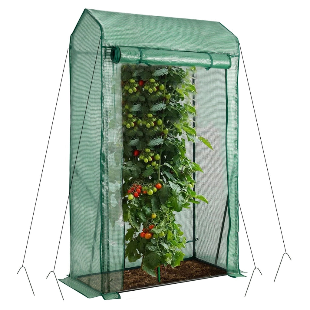 Serra da giardino accessibile con struttura in acciaio, Serra portatile con porta a cerniera copertura PE Verde-Serre da giardino