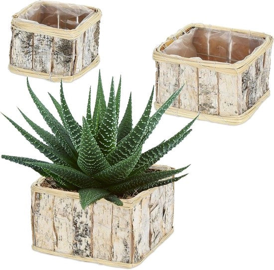 Set di vasi per piante da 3 contenitori di betulla con pellicola - Rettilineo per interni ed esterni - Bianco/natura