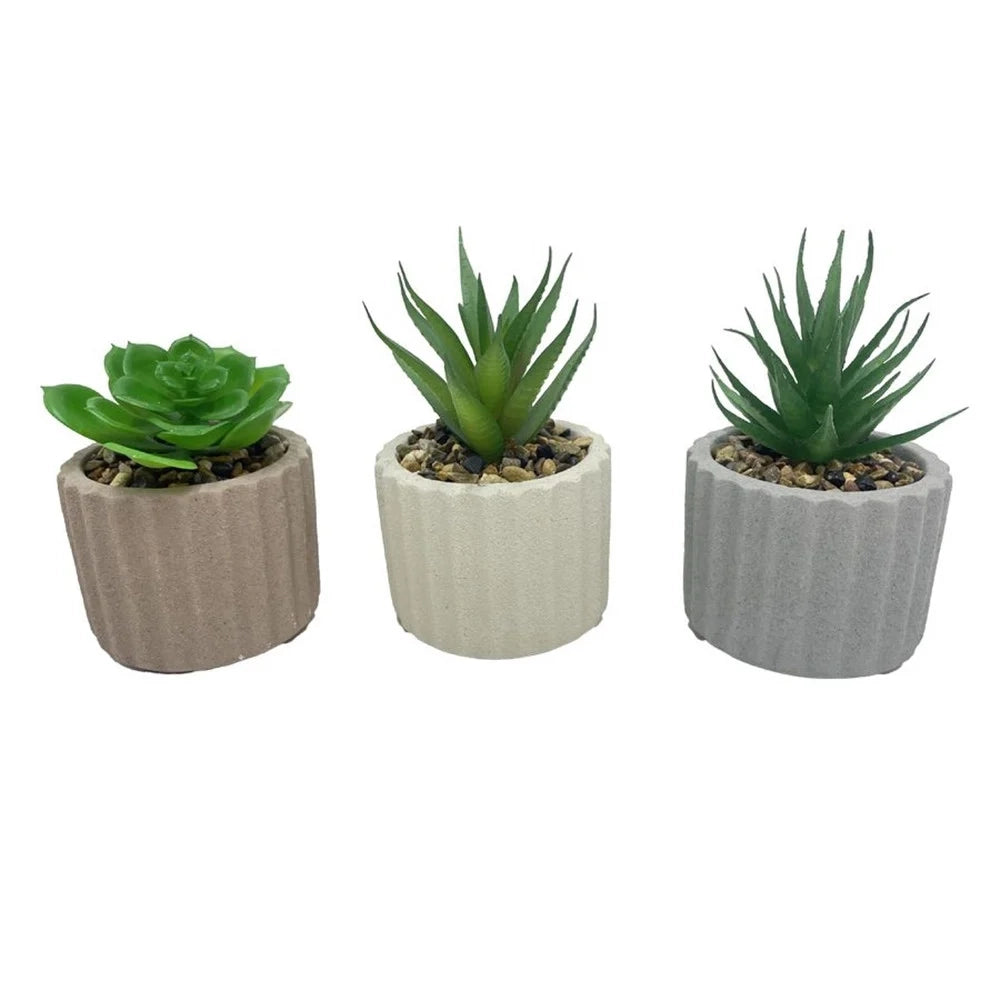 Trade Shop - Set 6pz Pianta Verde Grassa Finta Con Vaso Ceramica Scanalato 8x8xh13cm 3 Colori 157985 -