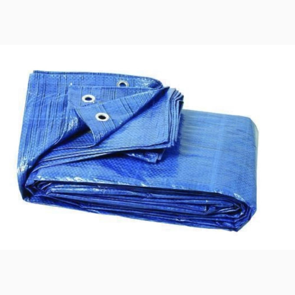 Telo Telone occhiellato Blu 40 gr/mq Multiuso impermeabile in Polietilene 2x3 mt