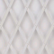 Traliccio Grigliato Estensibile in PVC per Piante rampicanti Balcone Giardino terrazza 2x1 mt Bianco