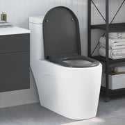 Toilette a rilascio rapido con chiusura morbida in Duroplast Antracite