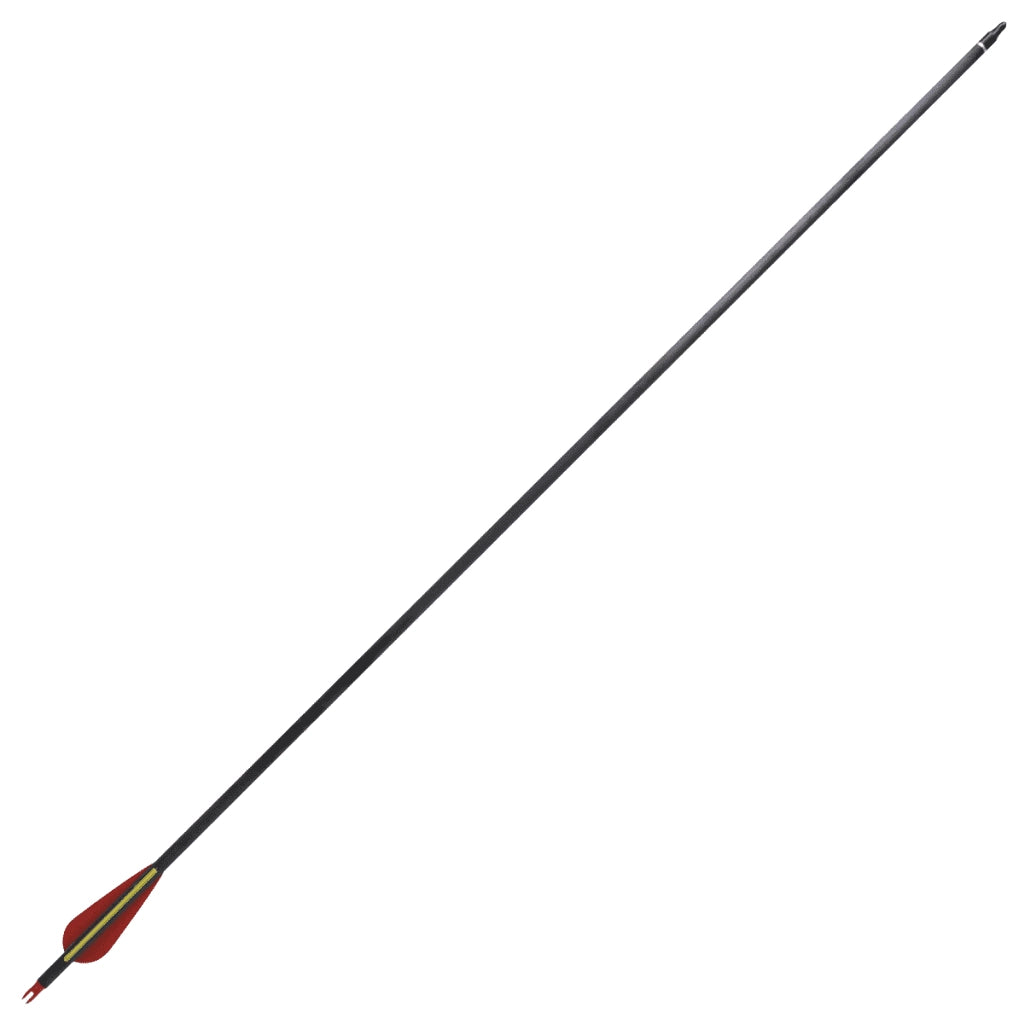 Frecce Standard 12 pz per Arco Ricurvo 30" 0,76 cm in Carbonio 90857