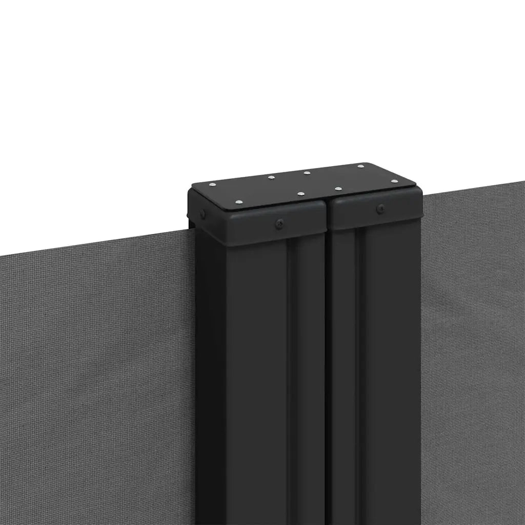 Tenda da Sole Laterale Retrattile Antracite 220x600 cm 4004673