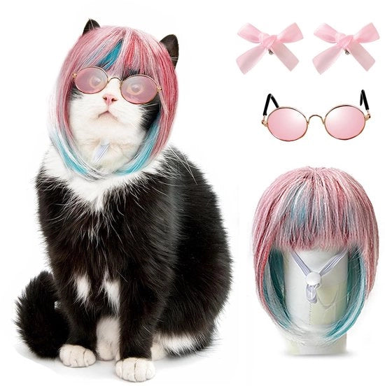 Costumi per animali 3 pezzi - Cinture regolabili - Costume per gatti - Capelli rossi/blu - Capelli lunghi - Inclusi spille per capelli/occhiali - Costume per gatti