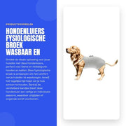 Luiere per Cani - Rimanente - Cinturino Adattabile - Disegno Assorbente - Cotone - Adatto per Cani Piccoli/Mediali - Comodo e Igiene - Pantaloni per Cani