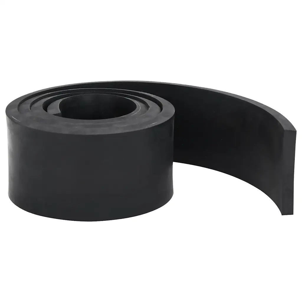 Bordo in Gomma per Spazzaneve Nero 150x10x1 cm CFW8281676