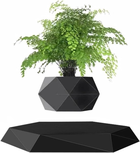 Pianta in Sospensione con Tecnologia Maglev - Vaso Decorativo per Bonsai per Casa e Ufficio