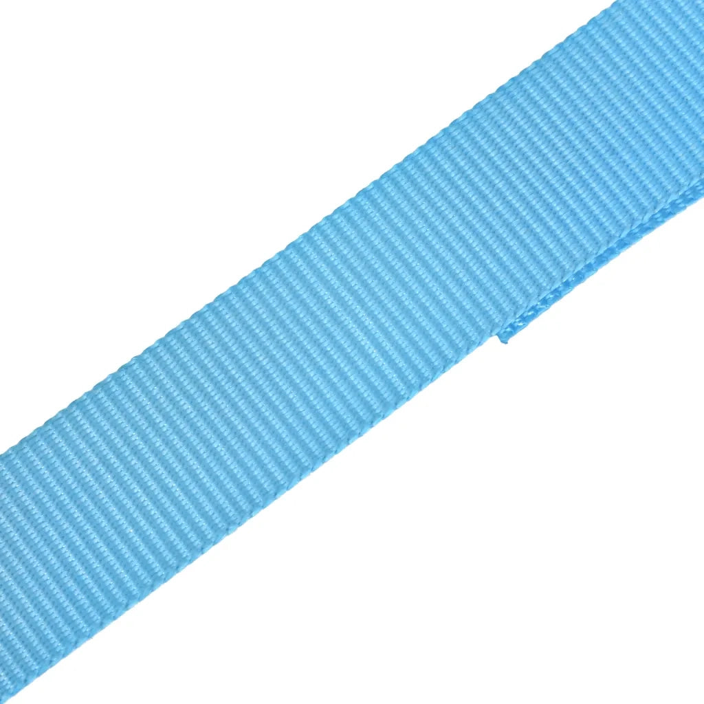 Cinghie d¡¯Ancoraggio 10 pz a Cricchetto 0,8 T 4mx25mm Blu CFW3909578