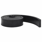 vidaXL Bordo in Gomma per Spazzaneve Nero 250x8x2 cm