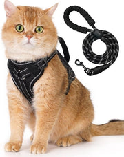 Cintura per gatto adattabile con cinghia, sicura e comoda per gattini e cuccioli, strisce riflettenti, taglia M (6,5-9,5 kg)