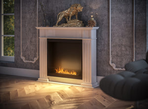 Biocamino Inportal 1