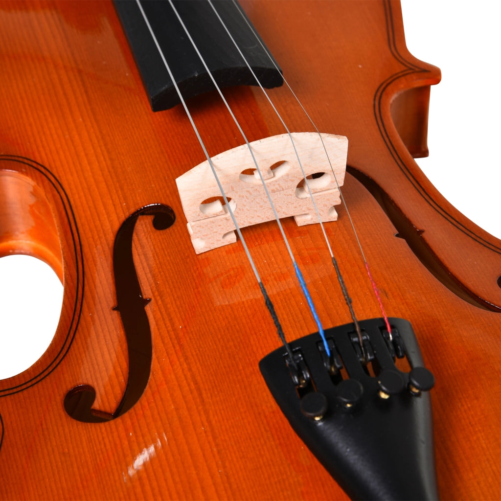 Violino 4/4 per Adulti con Accessori ¨C zephmum ¨C 58.5x21.5x7cm