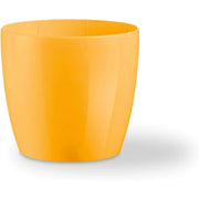 Teraplast colour madeira 14 curry