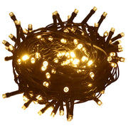 Stringa di Luci 2000 LED Interni Esterni 200m IP44 Bianco Caldo CFW8215971
