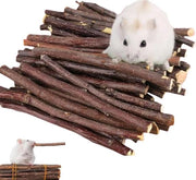 12 Stuzzicadenti per roditori - bastoncini di mela per animali domestici - chinchilla, coniglio, hamster