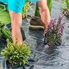 Telo Pacciamatura 50 x 1m/25 x 2m, Tessuto per Barriera Antierbacce in PP con Linea Guida Chiara e Diritta, Telo Antierbacce per Orto, Giardino, Paesaggistica e Vialetto (50 x 1 m - 60 g/m²)