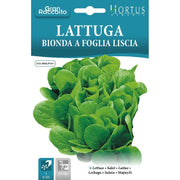 Lattuga Bionda a foglia liscia Gran Raccolto