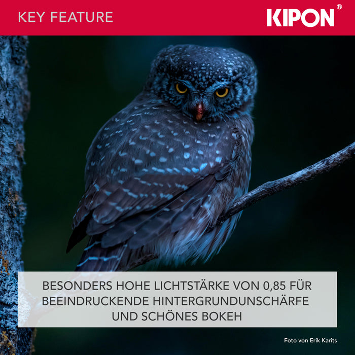 Handevision Obiettivo serie Ibelux 40 mm f/0,85 APS-C - compatibile con Sony E - estremamente veloce, ideale per ritratti e scarsa illuminazione, corpo in metallo, paraluce integrato - nero