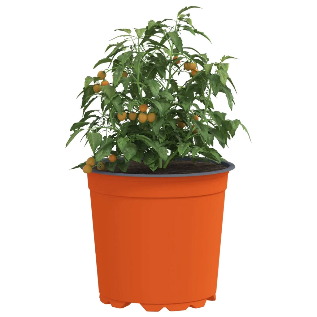 Vaso per Fiori 100 pz-Fioriera Piccola-Contenitore per Piante Ceramica ? 15 x 13 cm Plastica