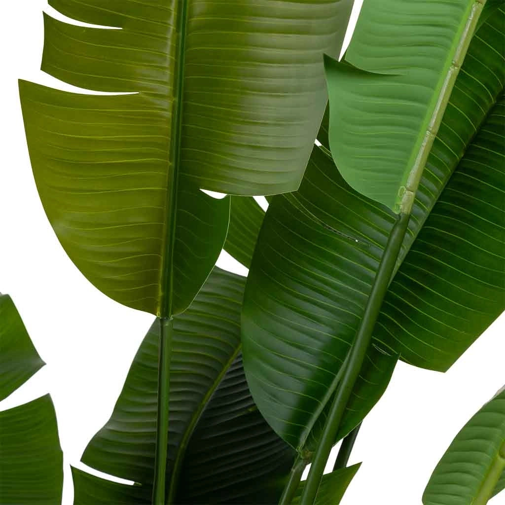 Sterlitzia decorativa artificiale con 18 foglie verde 95x95x240