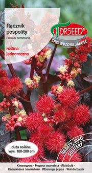 Castore - Ricinus communis foglia rossa 6g