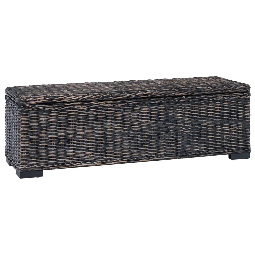 Scatola di Stoccaggio con archiviazione Nero 110 x 35 x 45 cm