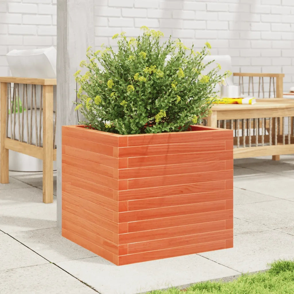 Fioriera Giardino Marrone Cera 50x50x45,5cm Legno Massello Pino 847245