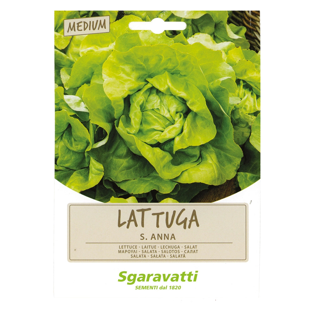 SEMI PER ORTAGGI E VEGETALI lattuga S. Anna- 20 pezzi  - SGARAVATTI