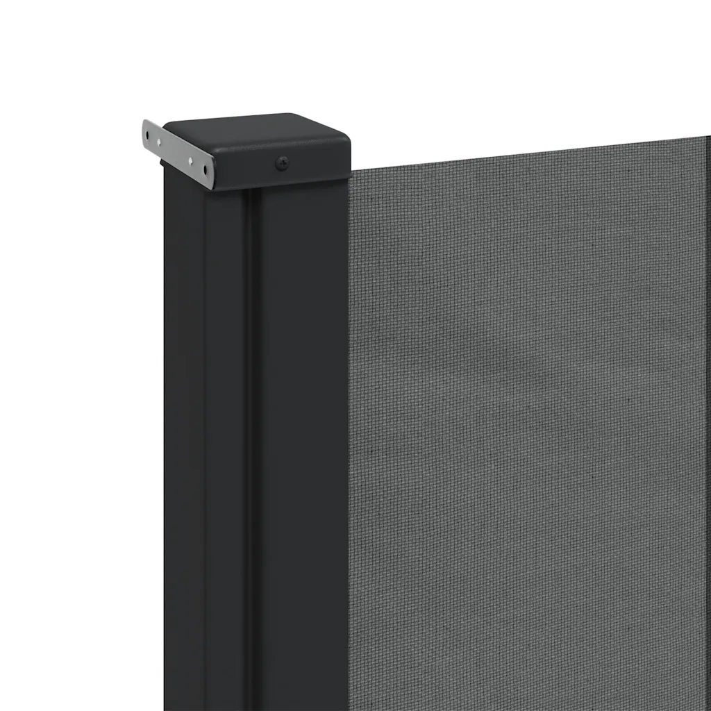 Tenda da Sole Laterale Retrattile-Tenda parasole per balcone per giardino antracite 200x300 cm