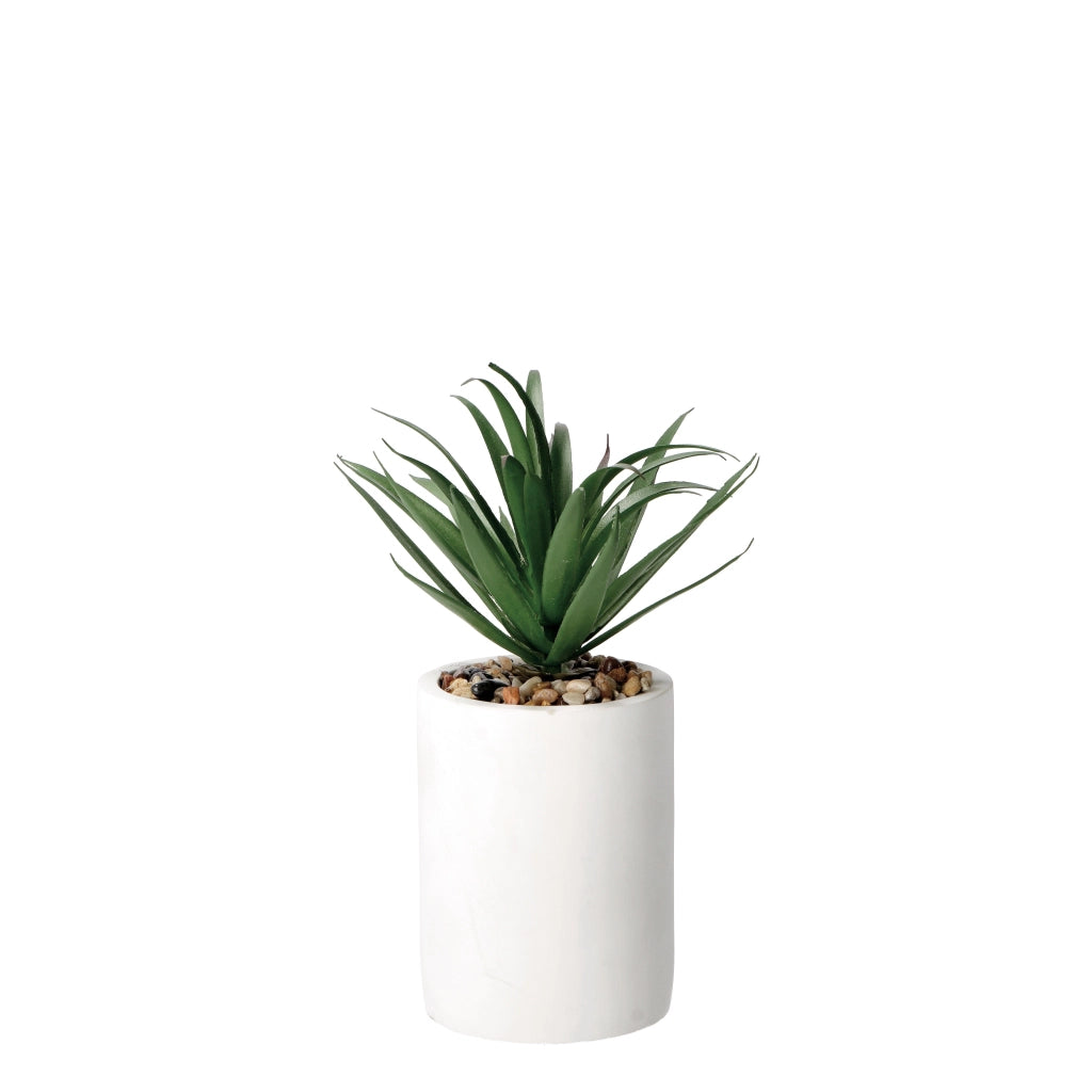 VASO CON PIANTA GRASSA DECORATIVA D.9XH22CM IN 2 C