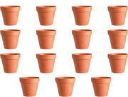 Set di 15 Mini Vasi di Terracotta con Foro di Drenaggio (5,5 x 5 cm)